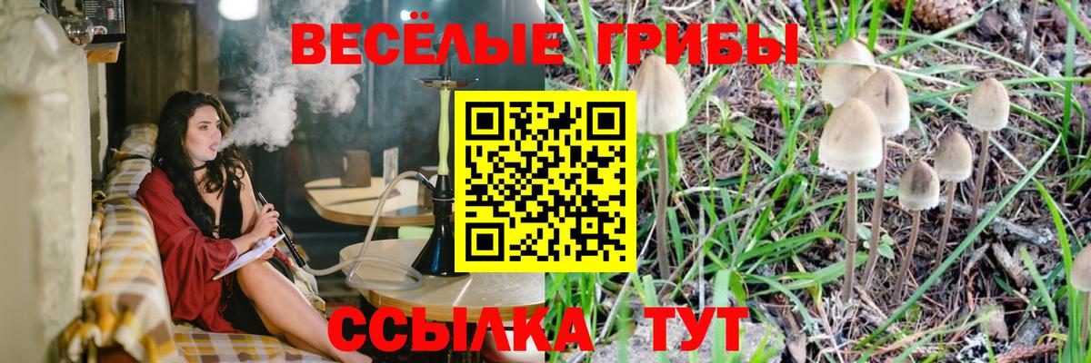 Фрязино  Псилоцибиновые грибы Magic Shrooms  как найти закладки  Вход с VPN 